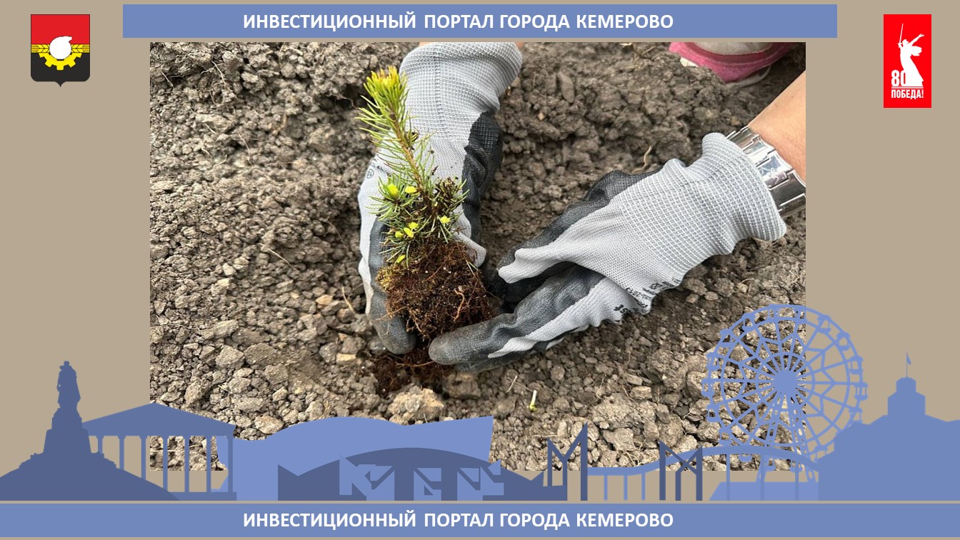 скарабей.jpg